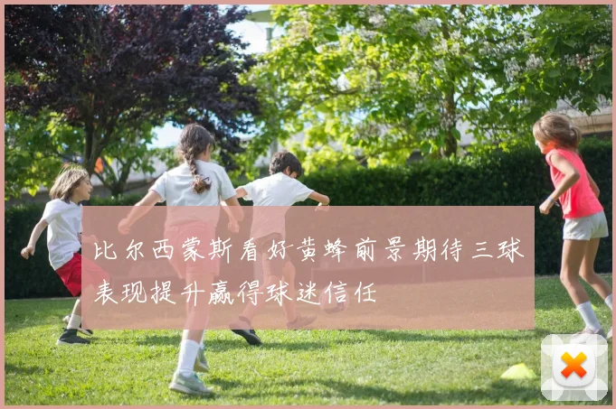 比尔西蒙斯看好黄蜂前景期待三球表现提升赢得球迷信任