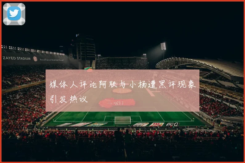 媒体人评论阿联与小杨遭黑评现象引发热议