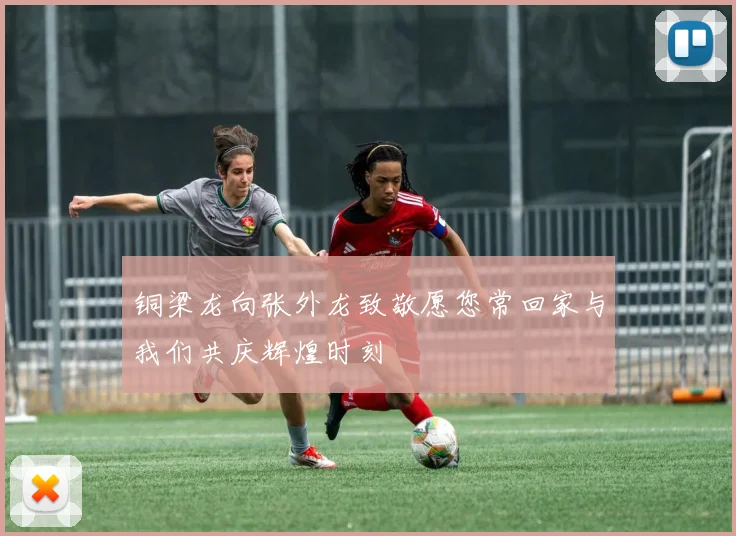 铜梁龙向张外龙致敬愿您常回家与我们共庆辉煌时刻