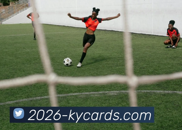 开云棋牌官网平台生态图